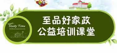 家z文员是干嘛的