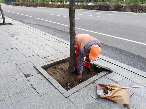 景区道路保洁费用包括哪些？