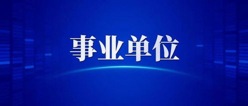 你们自媒体都发布哪几个平台？该怎么做？